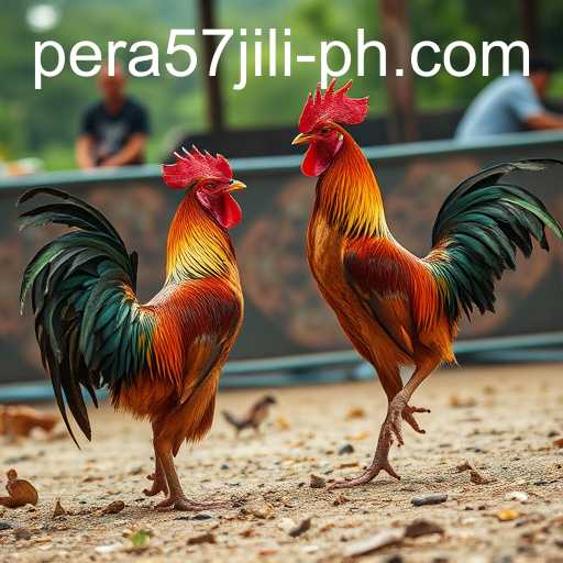 Exploring the Digital Arena: Online Sabong and PERA57 JILI